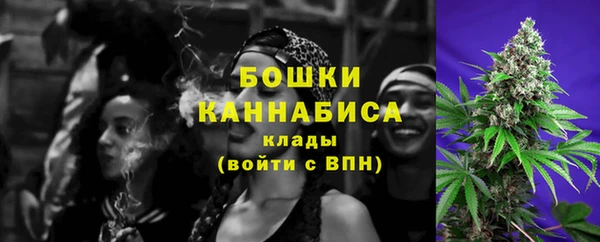 PSILOCYBIN Алзамай