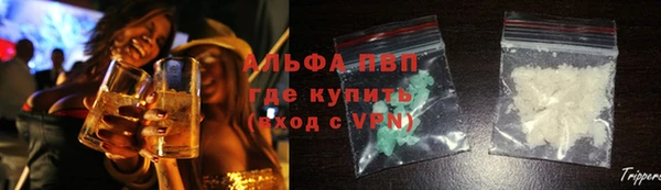 PSILOCYBIN Алзамай