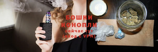 PSILOCYBIN Алзамай