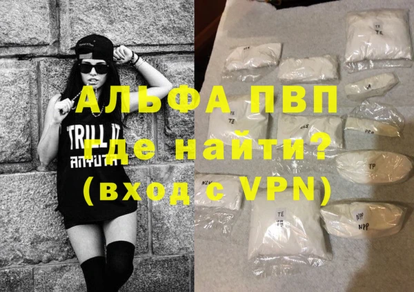 прущие грибы Дмитров