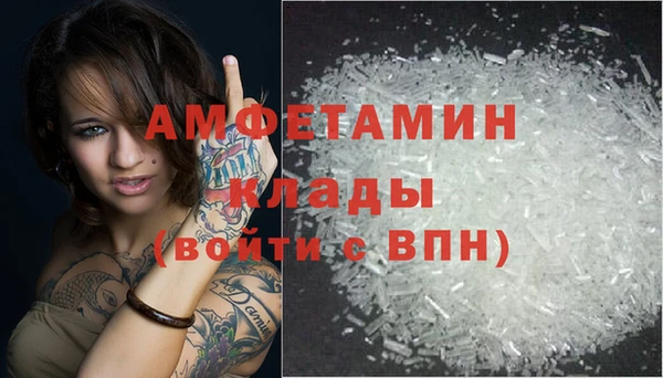 мет Алексин