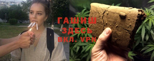 мет Алексин