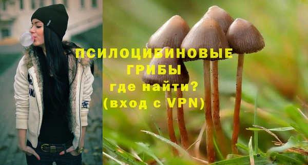 мдма Дмитриев