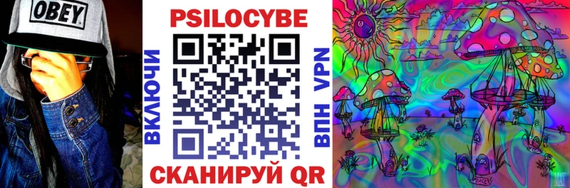Галлюциногенные грибы GOLDEN TEACHER  Кудрово 